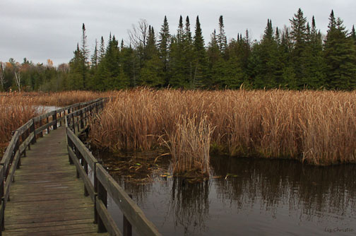 boardwalk